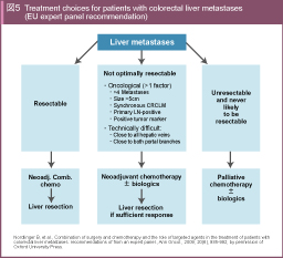 }5 Treatment choices for patients with colorectal liver metastases (EU expert panel recommendation)