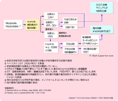 iK̎ Marginally Resectable GIST