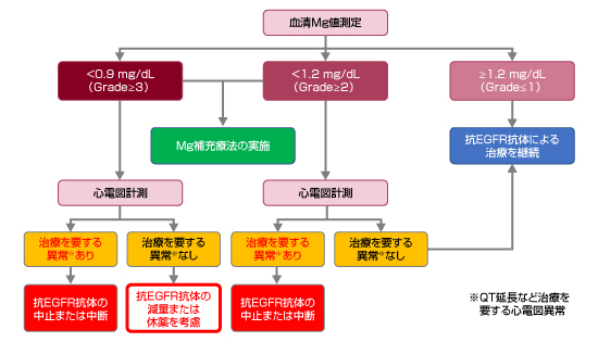 消化器癌治療の広場 GIcancer-net