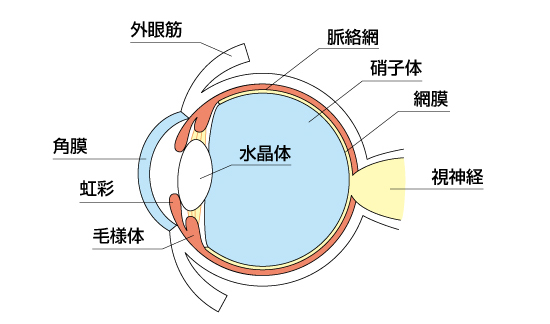 図1