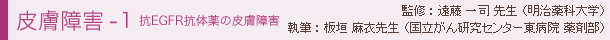 皮膚障害-1 分子標的薬の皮膚障害 監修:遠藤 一司先生(明治薬科大学)