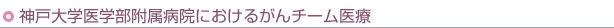 _ˑwwa@ɂ邪`[
