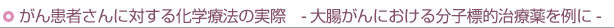 񊳎҂ɑ΂鉻wÖ@̎
-咰ɂ镪qWIÖ-