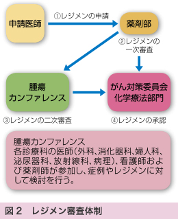 図2 レジメン審査体制