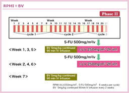 3.1.1 5-FU/LV{Bevacizumab