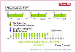 3.1.4 XELOX{Bevacizumab