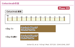 3.2.1 CetuximabP