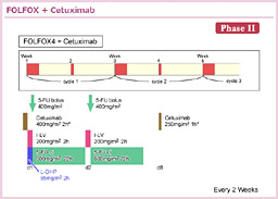 3.2.4@FOLFOX{Cetuximab