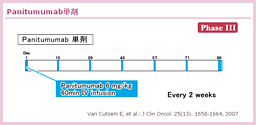 3.3.1 PanitumumabP