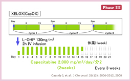 3.2.3 XELOX(CapOX)