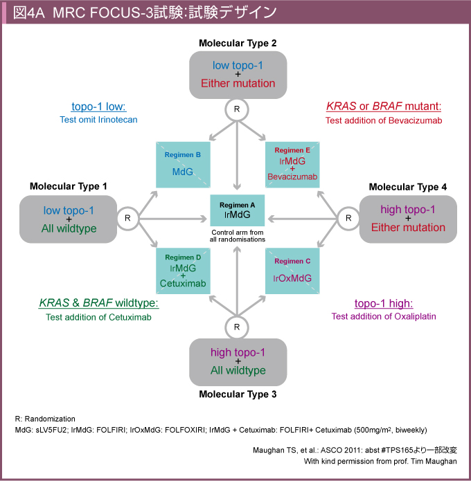 }4A@MRC FOCUS-3: fUC