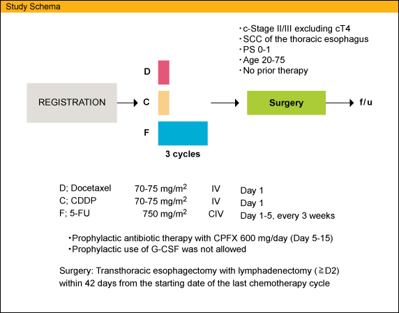 Study Schema