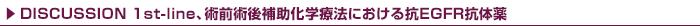 DISCUSSION 1st-line、術前術後補助化学療法における抗EGFR抗体薬