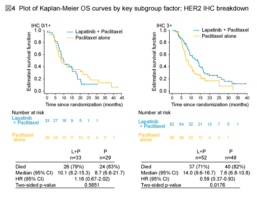 図4 Plot of Kaplan-Meier OS curves by key subgroup factor; HER2 IHC breakdown
