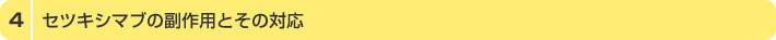 4.ZcLV}u̕pƂ̑Ή