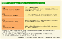 \2 RECISTKChC v1.1:@WIaς̕]