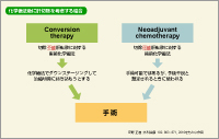 }4 Conversion therapyƏpO⏕wÖ@ (neoadjuvant chemotherapy)