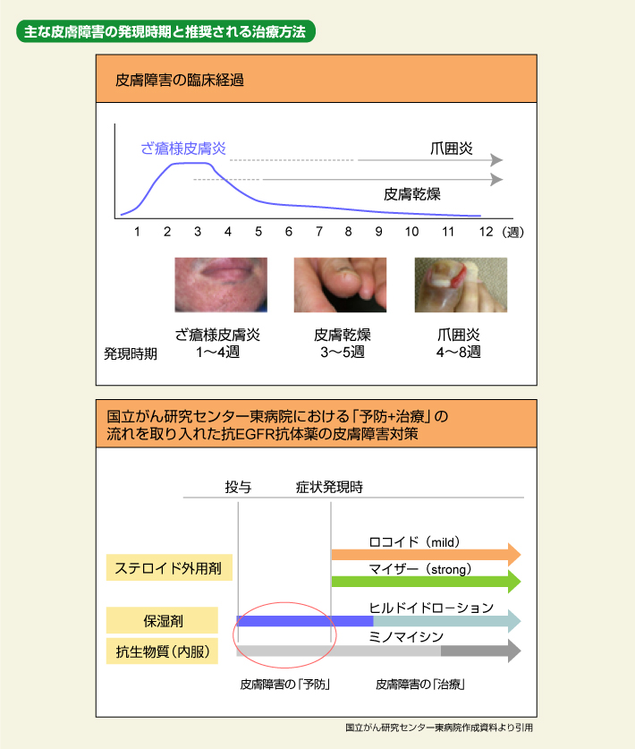 }1 Ȕ畆Q̔Ɛ鎡Õ@