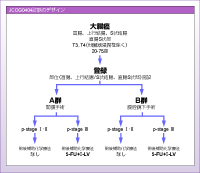 }2@JCOG0404̃fUC