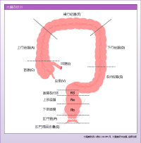 }3@咰̋敪