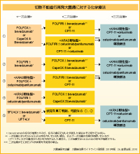 }5 咰ÃKChC(2010N)