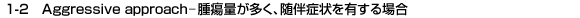 1-2@Aggressive approach\ᇗʂAǏLꍇ