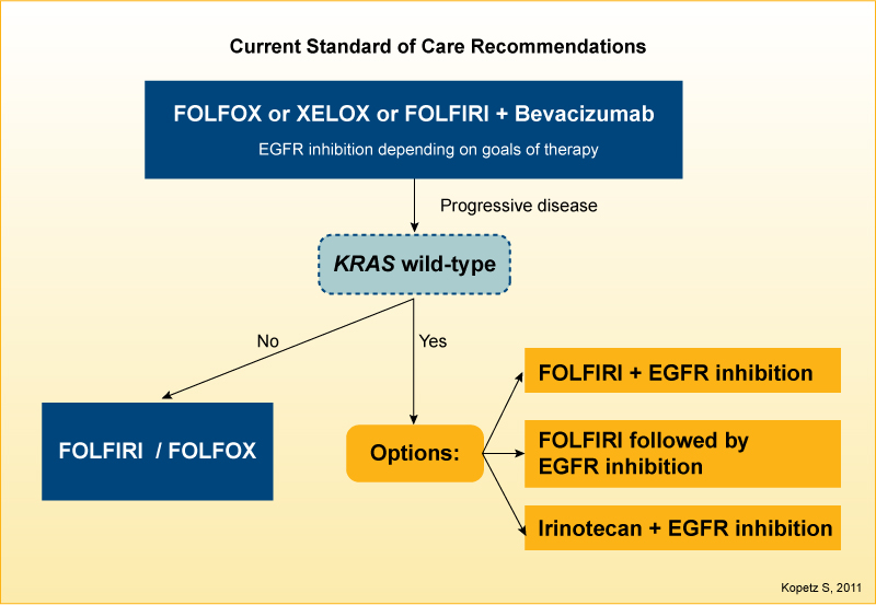  14 current standard of care recommendations